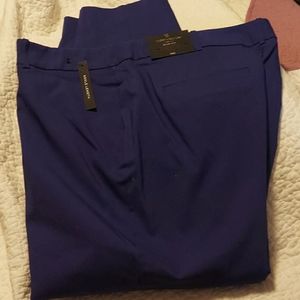 Navy ankle length pants